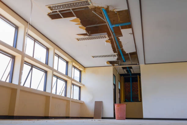 Best Commercial water damage restoration  in Washington Terrace, UT