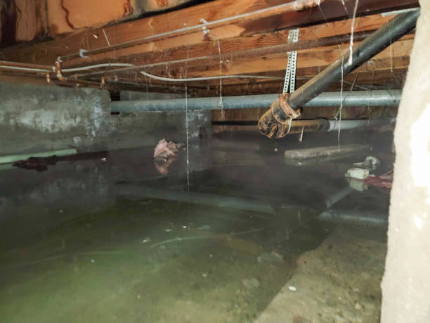 Washington Terrace, UT Water damage restoration Company