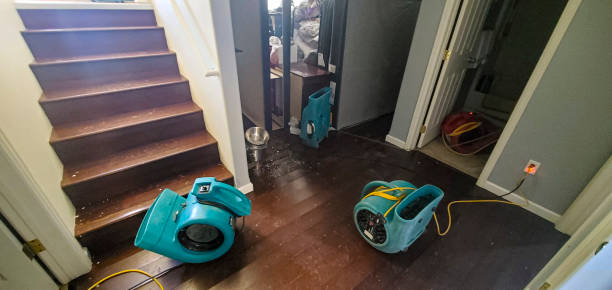 Best Residential water damage restoration  in Washington Terrace, UT