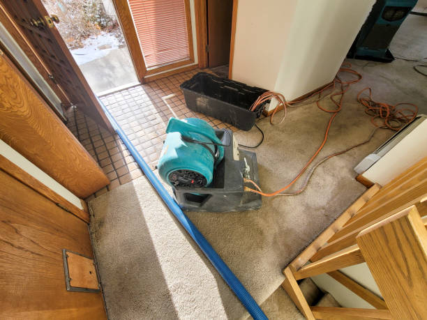 Best Water damage restoration near me  in Washington Terrace, UT