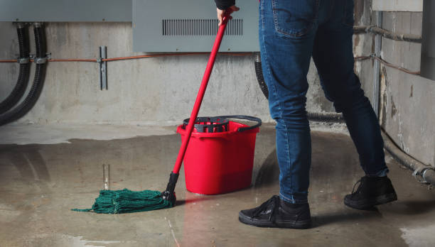 Best Local water damage restoration  in Washington Terrace, UT