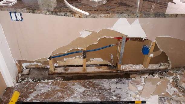 Best Carpet water damage restoration  in Washington Terrace, UT
