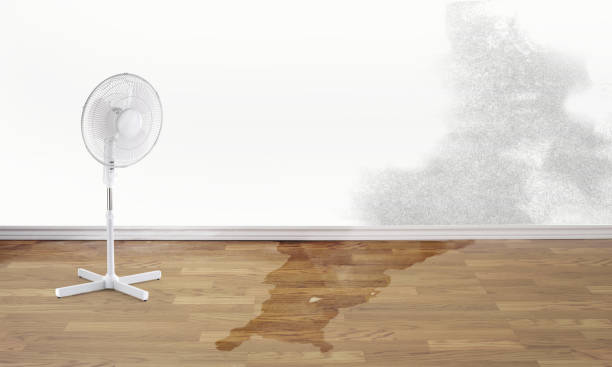 Water damage restoration mold remediation in Washington Terrace, UT