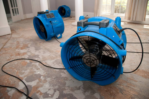 Water damage restoration process in Washington Terrace, UT
