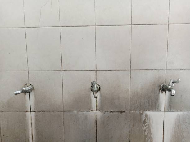 Best Flood restoration services  in Washington Terrace, UT