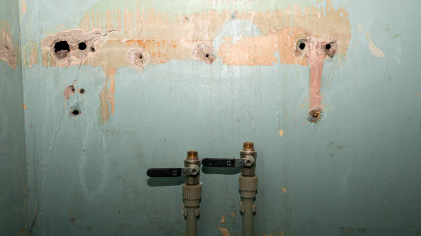 Best Sewage cleanup and water damage restoration  in Washington Terrace, UT