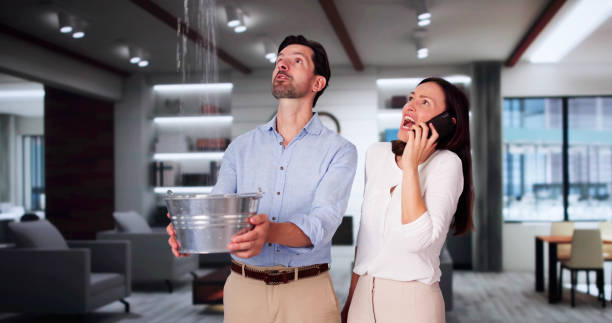  Washington Terrace, UT Water damage restoration Pros