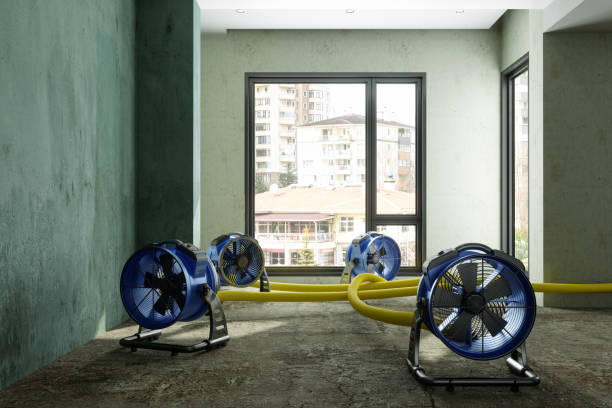 Best Water damage contractors near me  in Washington Terrace, UT